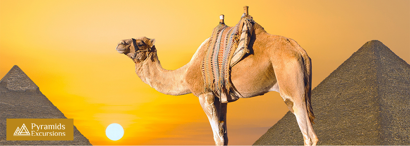 October Blog Posts Visual7