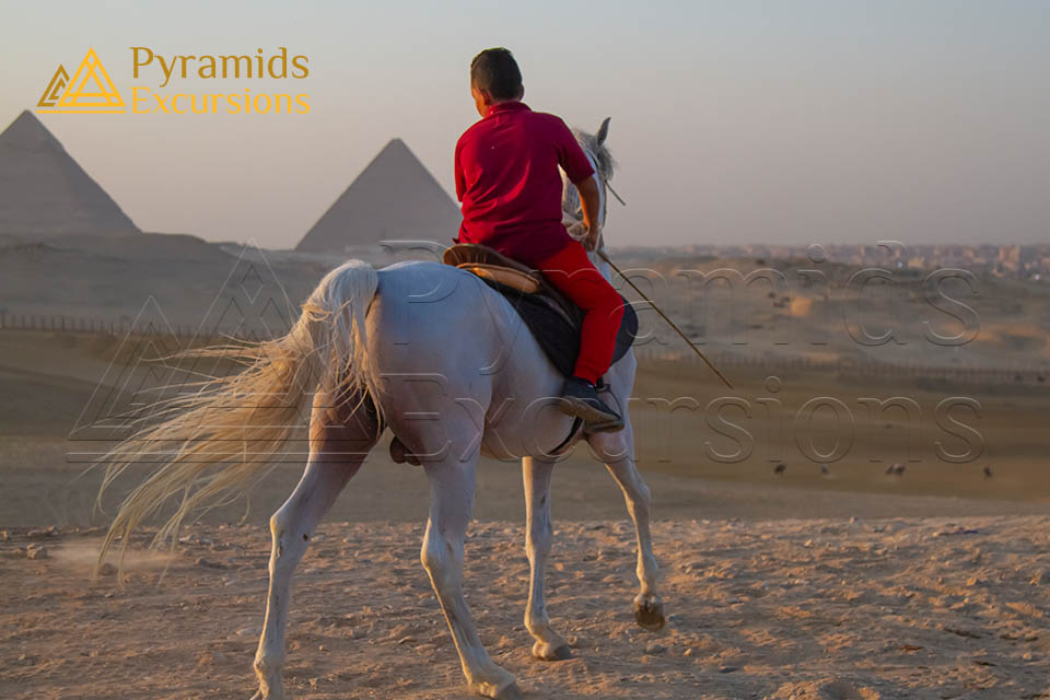 Half Day Giza Pyramid Tour 5 Hours