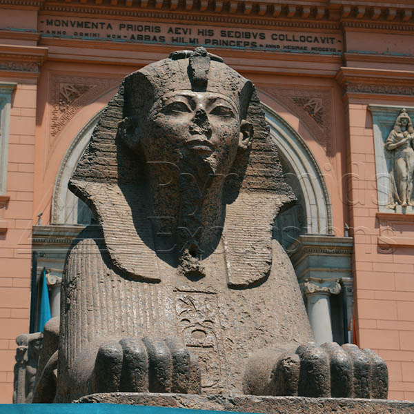 Pyramid and Museum Tour
