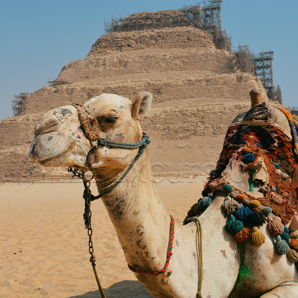 Giza Pyramids Tour Sakkara & Memphis Full Day