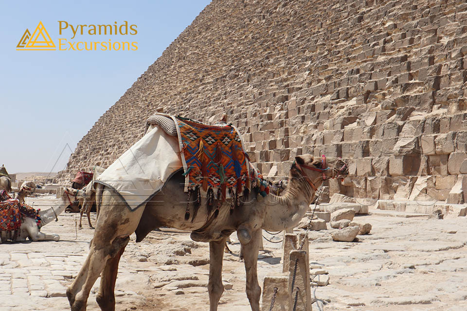 From Sharm El Sheikh: Cairo Full Day Tour by Plane