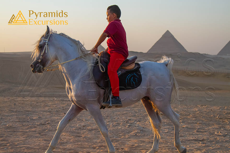 From Sharm El Sheikh: Cairo Full Day Tour by Plane