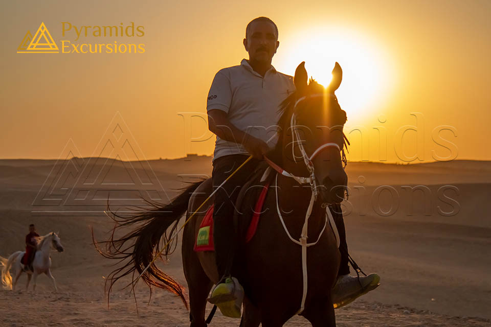 From Sharm El Sheikh: Cairo Full Day Tour by Plane