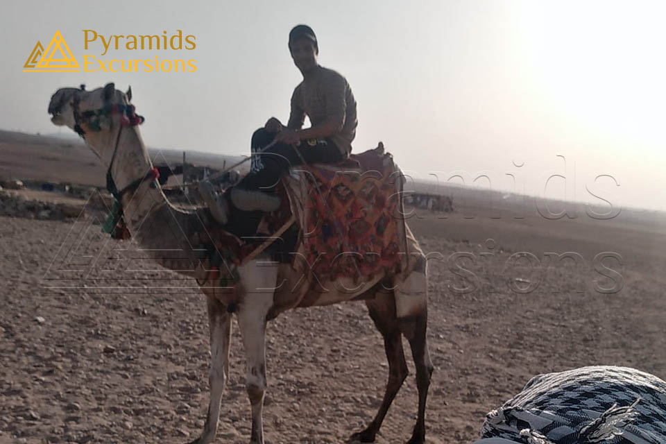 Quad & Camel Ride Combo Tour Around the Pyramids