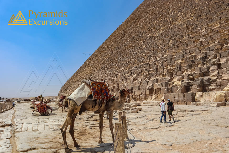 Quad & Camel Ride Combo Tour Around the Pyramids