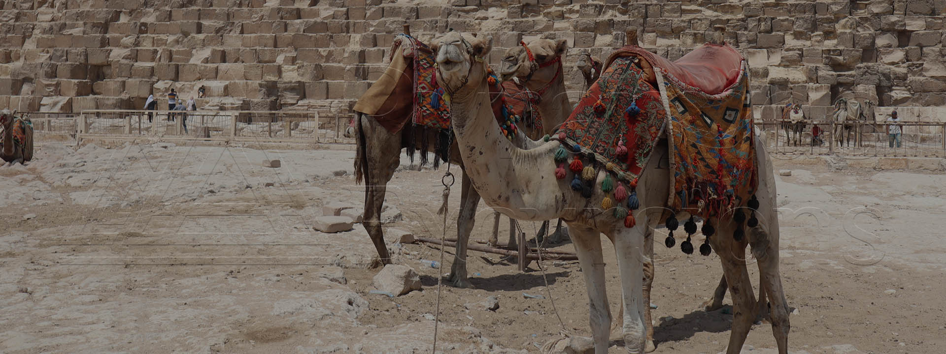 Quad & Camel Ride Combo Tour Around the Pyramids