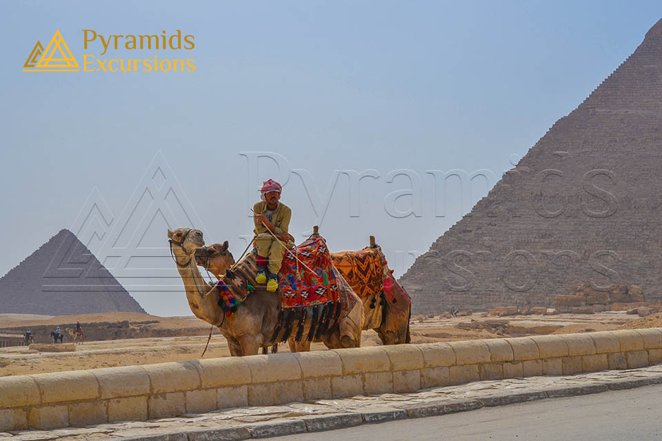 Pyramids, Museum Visit & Dinner Cruise Combo