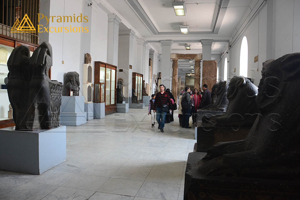 Pyramids, Museum Visit & Dinner Cruise Combo